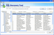 SQL Database Recovery Software screenshot